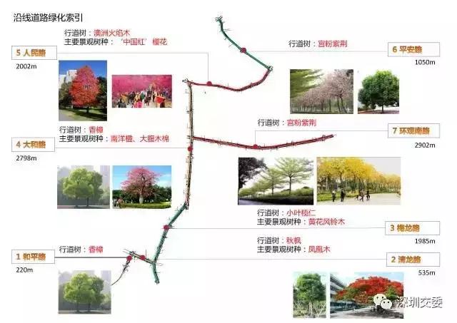 POS机网站：深圳首条有轨电车月底试运营！乘车时犹如穿越花海，沿途风景美炸